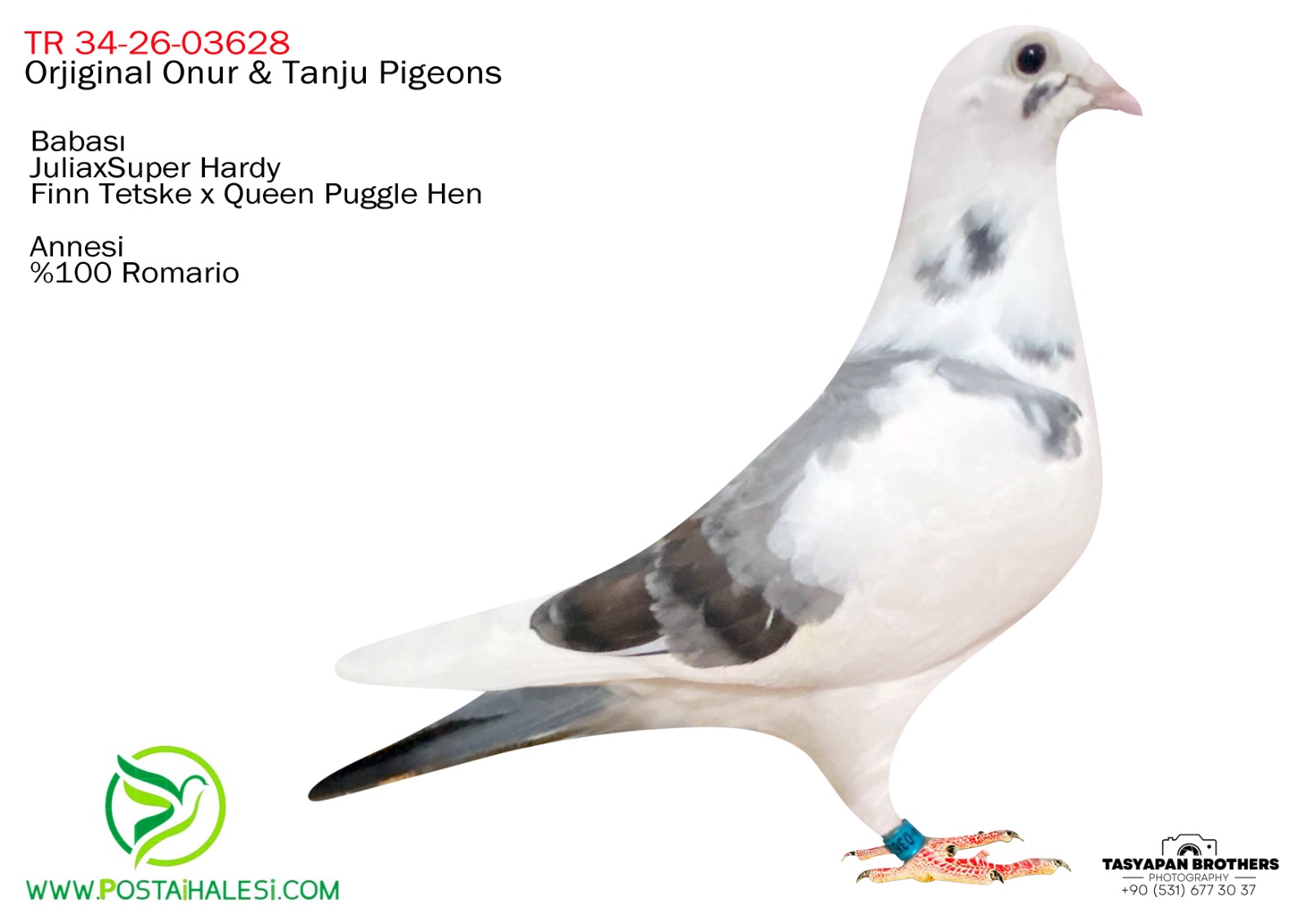 TR-26-34-03628- JULIA TOM VAN GOWER ROMARIO