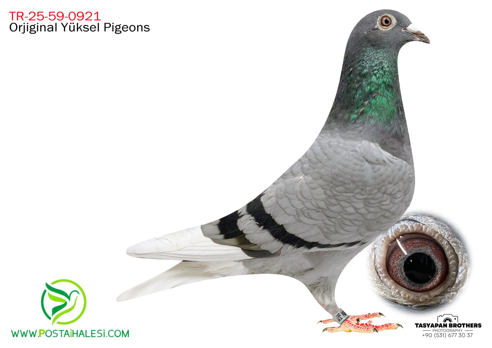 TR-25-59-0921 romario&hurican51