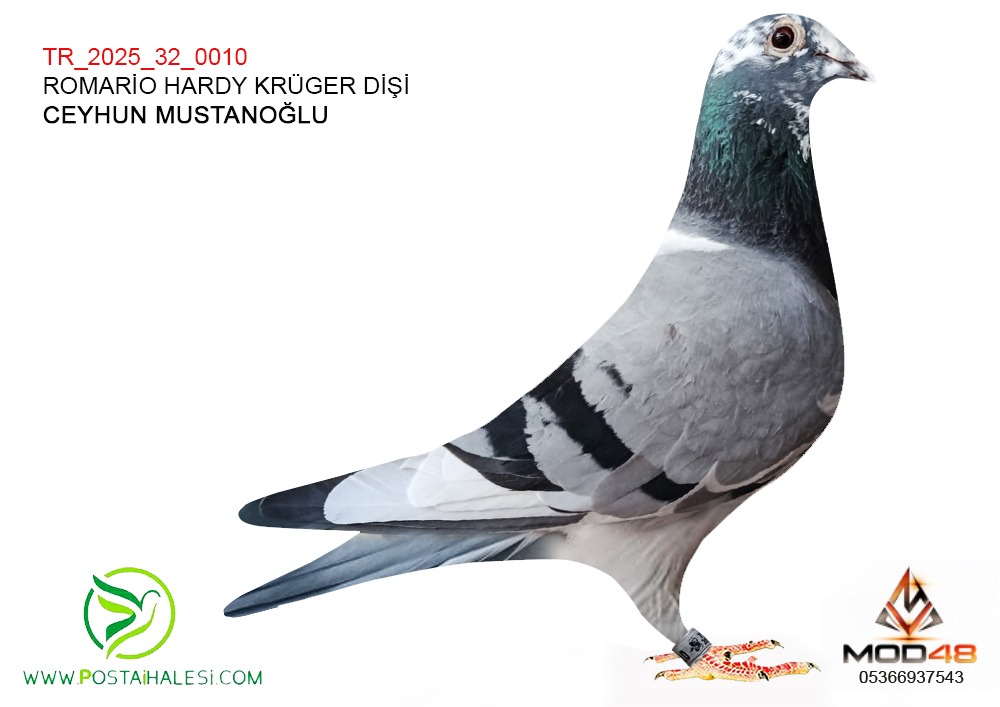 TR-25-32-0010 ROMARİO-HARDY KRÜGER
