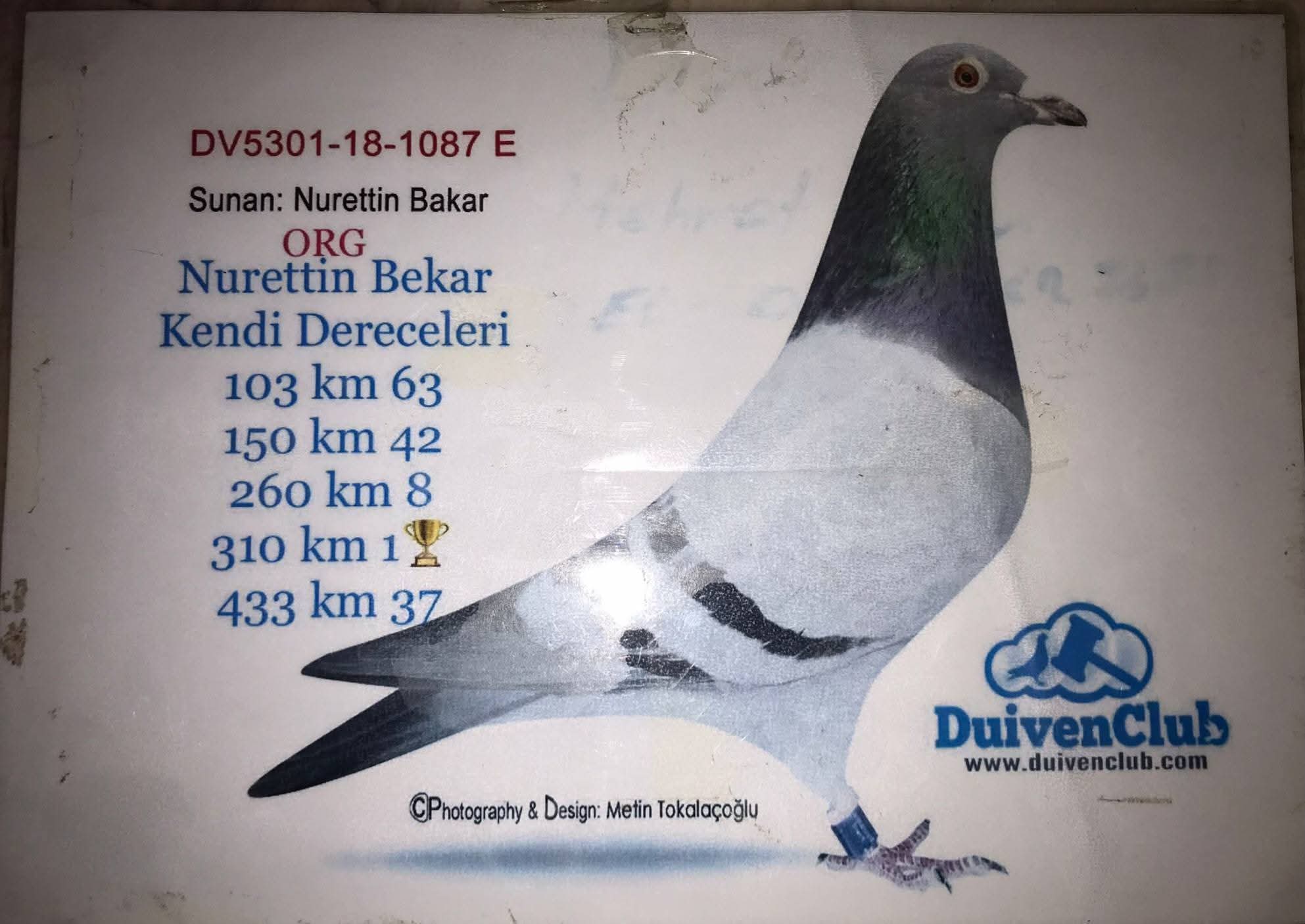DV 18-5301-1087 SAGN&GABY 310 KM 1 5X5 KLASMAN 1