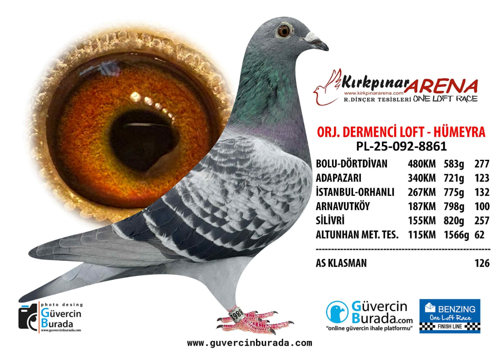 PL-25-092-8861 STEFF&RUDY KİTTEL 