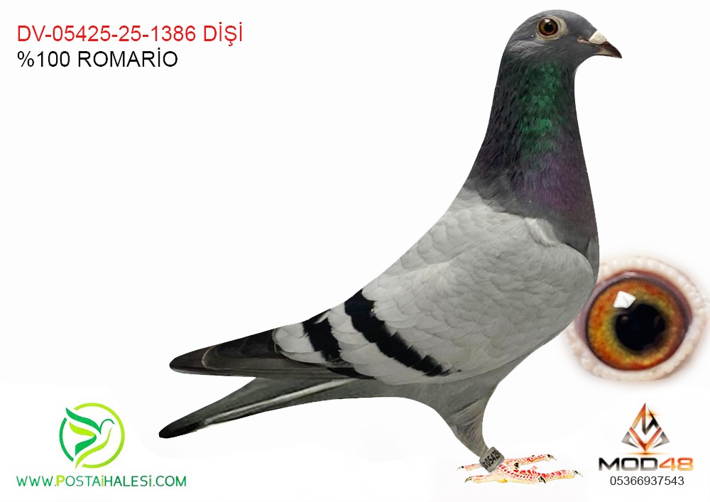 DV-05425-25-1386 %100 ROMARİO