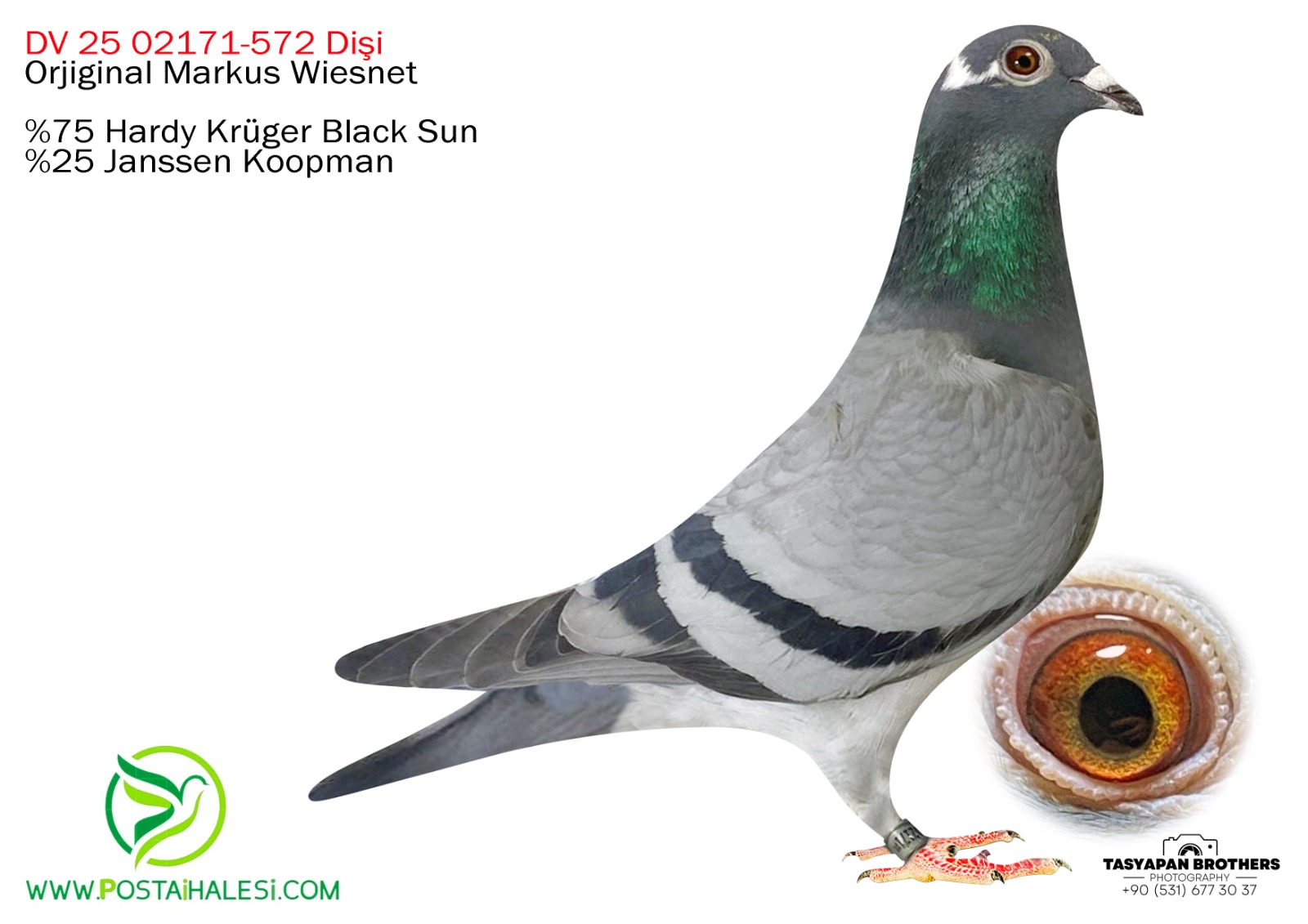 DV 25-02171-572 %75 HARDY KÜRÜGER%25  JANSEN KOPMAN