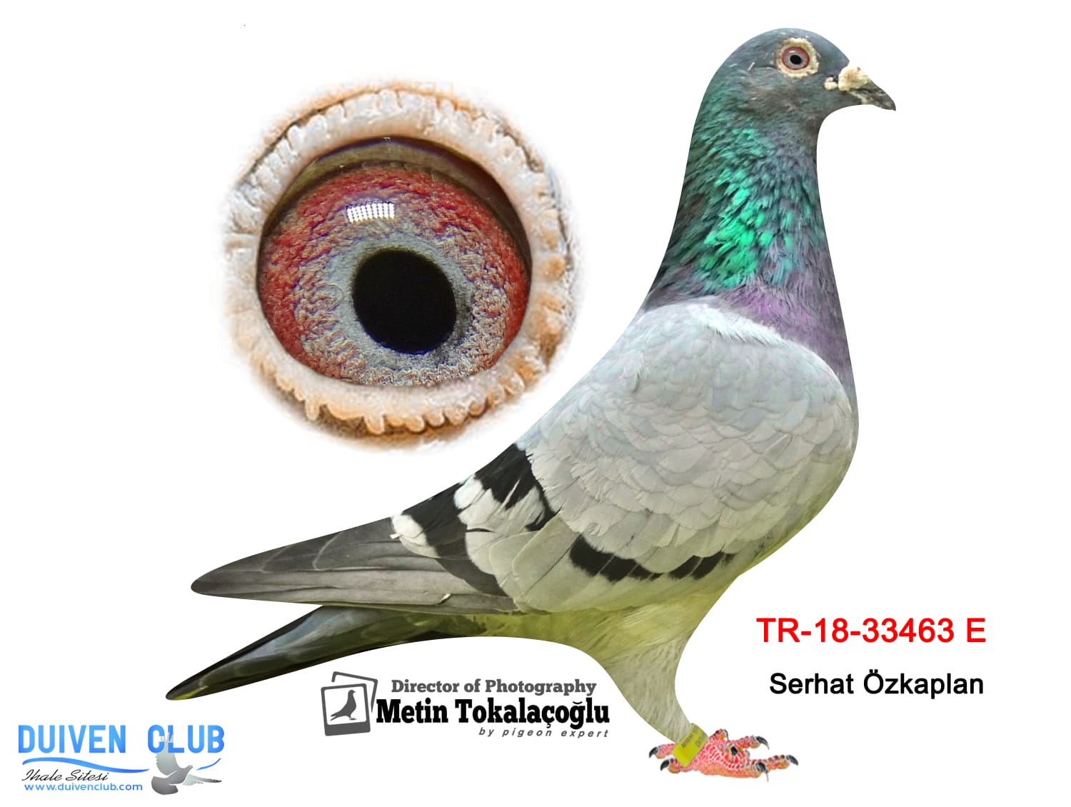 TR-18-33463 %100 RİCK WALTER