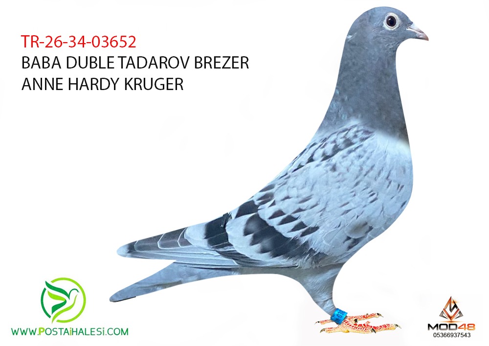 TR-26-34-03652- DUBLE TODOROW BREZERS HARDY KRUGER