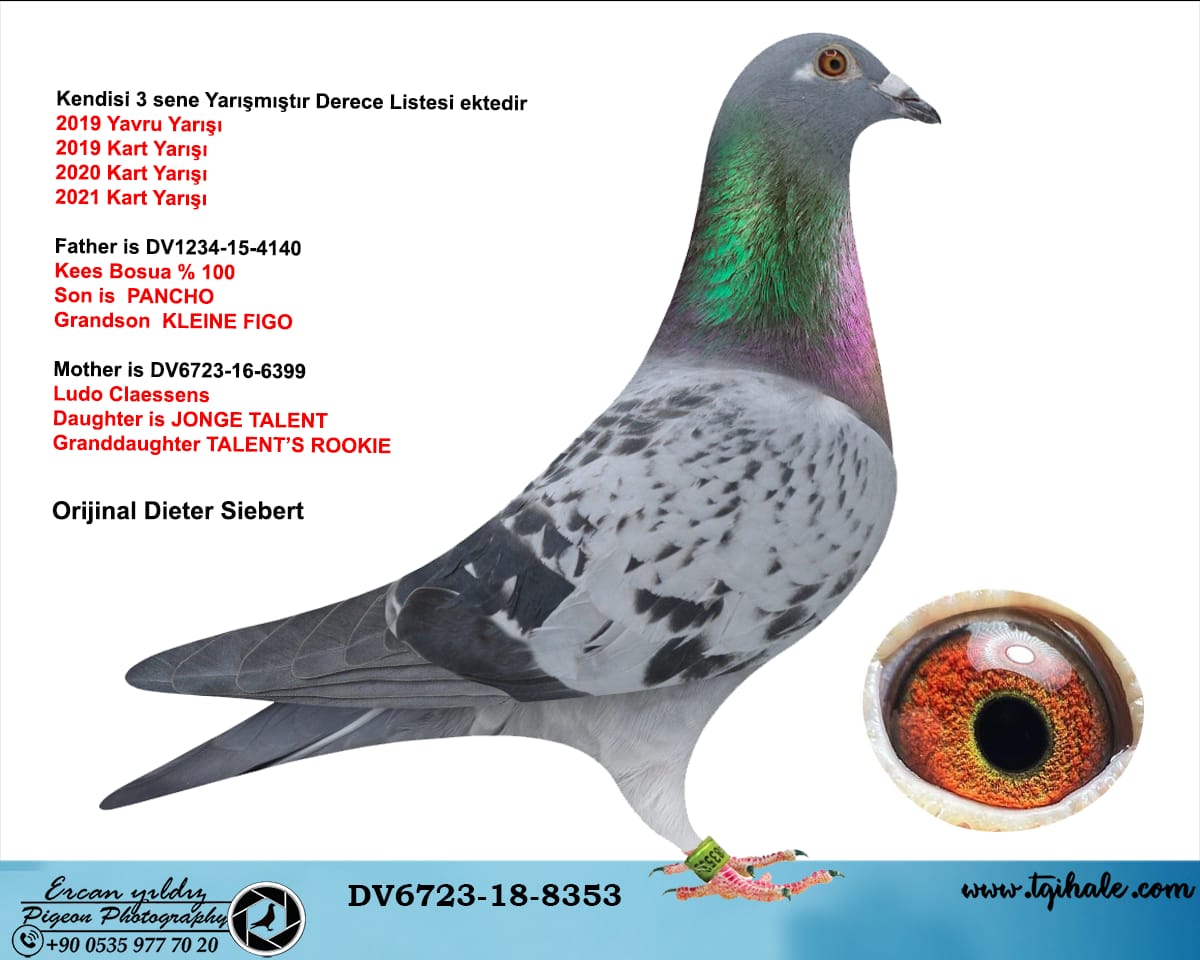  DW-6723-18-8353 ORG DİETER SİEBERT KENDİSİ 3 SNE  YARIŞMIŞTIR