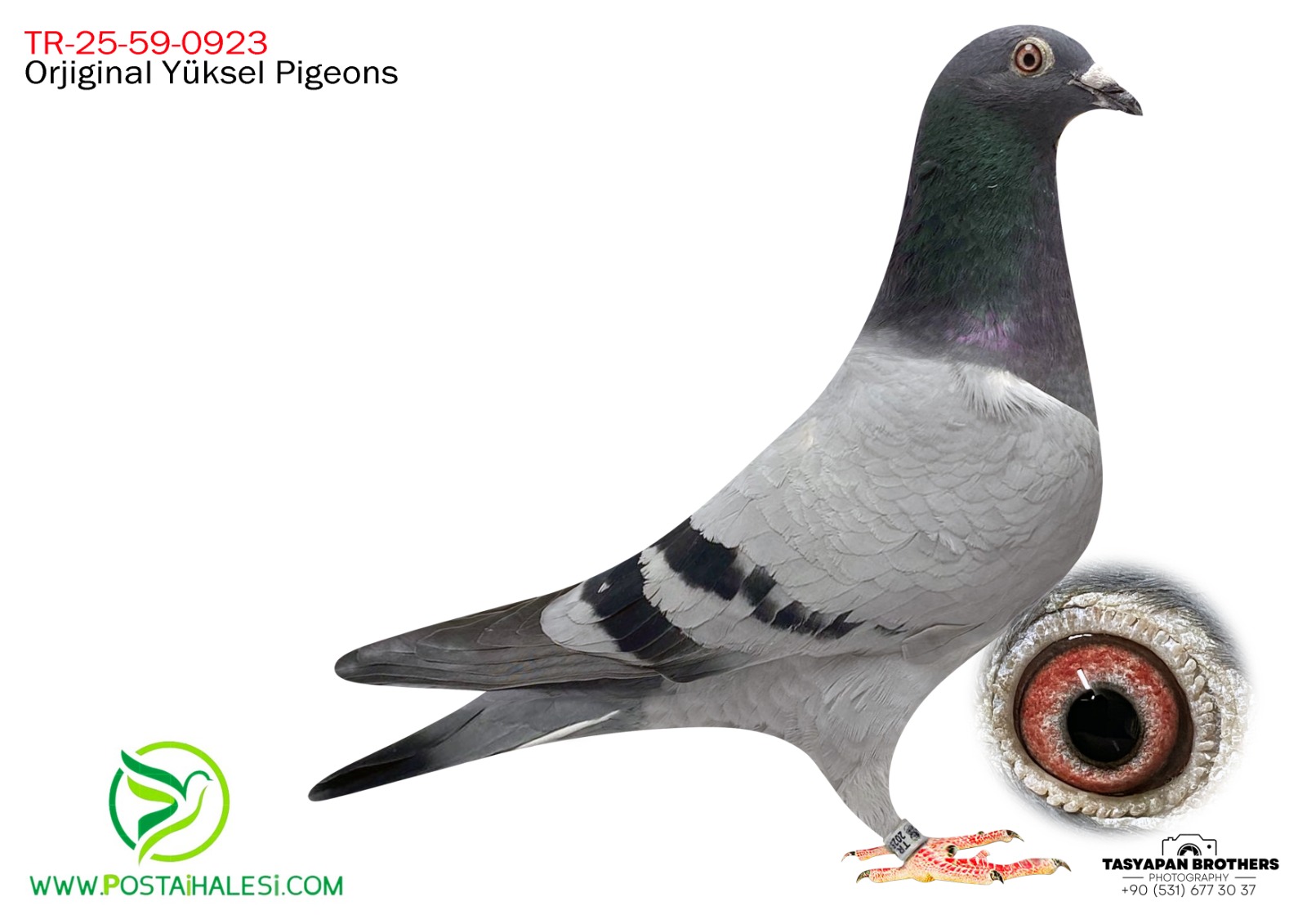 TR-25-59-0923 sablon&leo heremans&jansenn