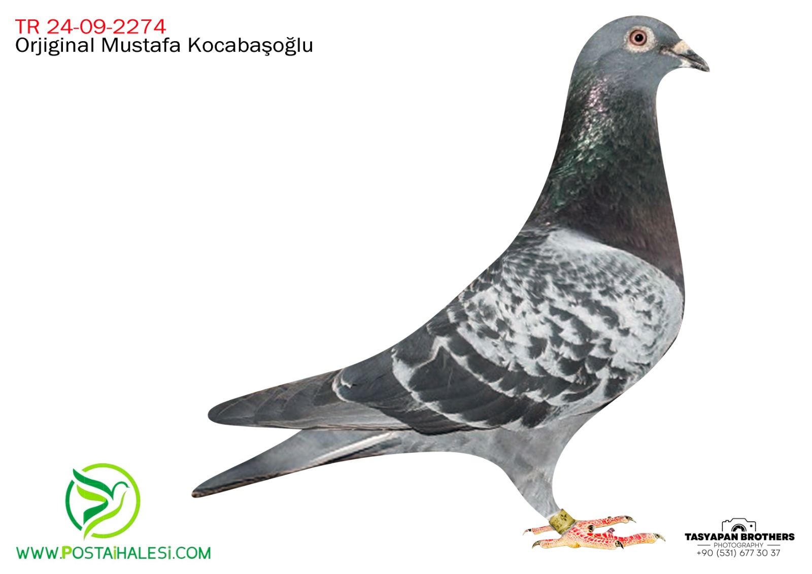 TGF-24-09-2274 İSMAİL KUŞLU KOOPMAN&DRAPPA