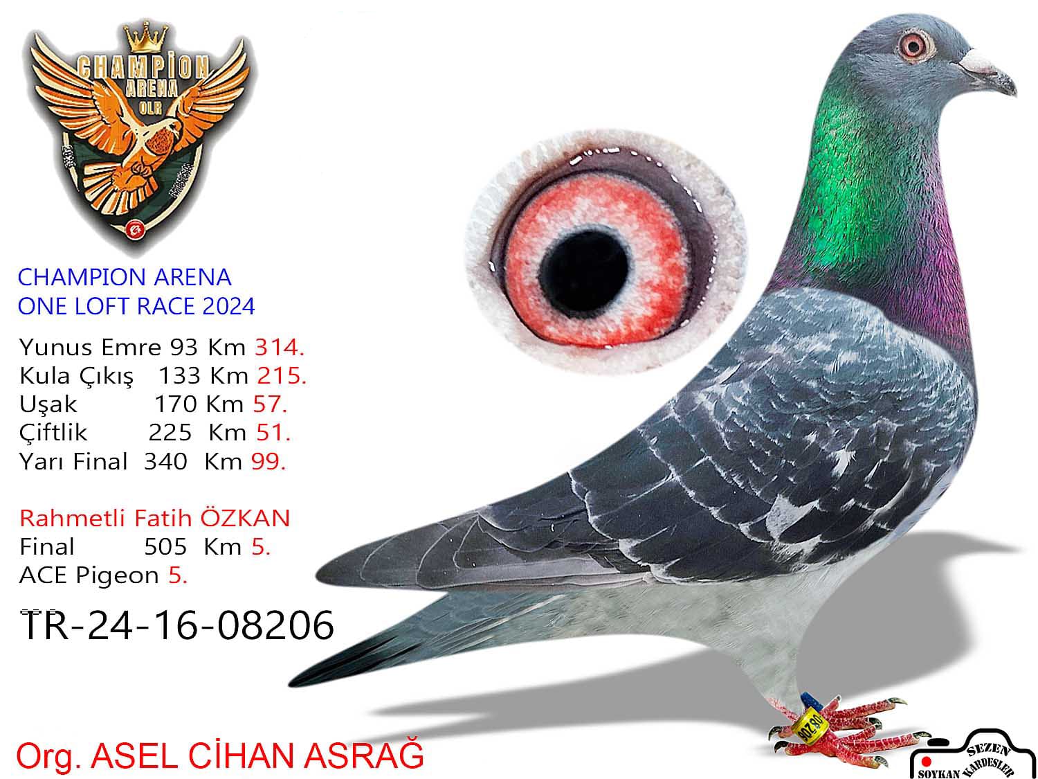 TR-24-16-08206- FİNAL 505 KM 5 ACE 5 CİFT KUPALI