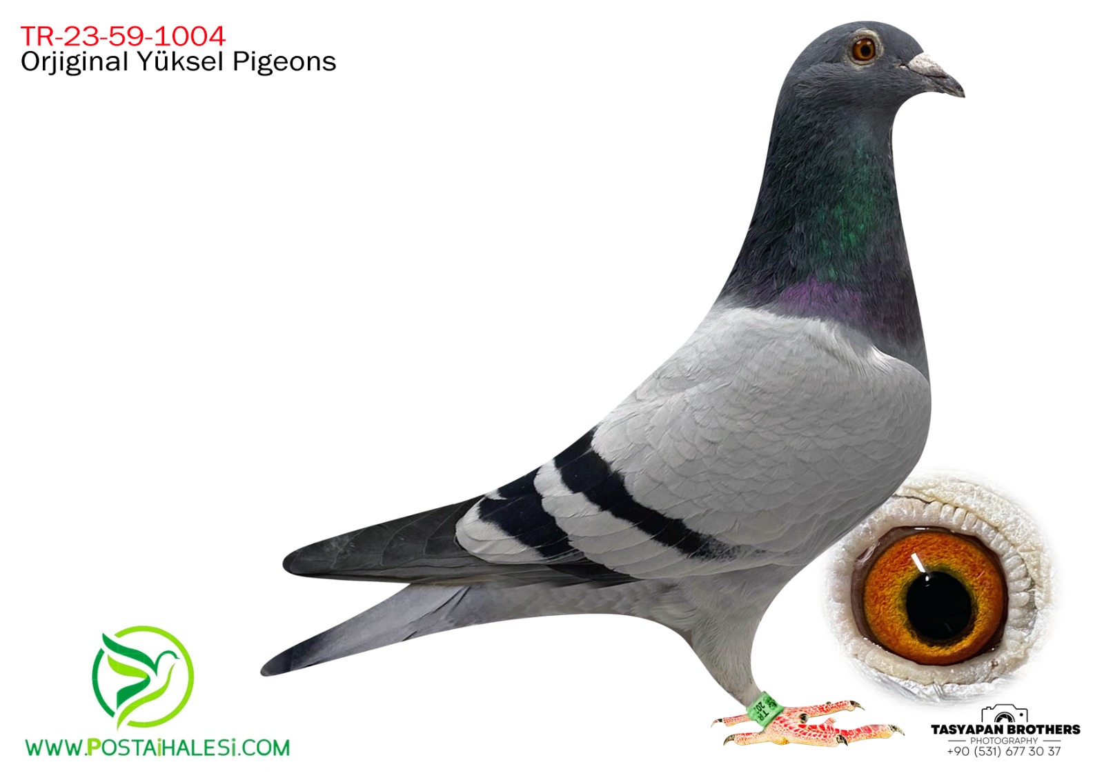 TR-23-59-1004 %100 HOK M. REJİNE& BOLTON