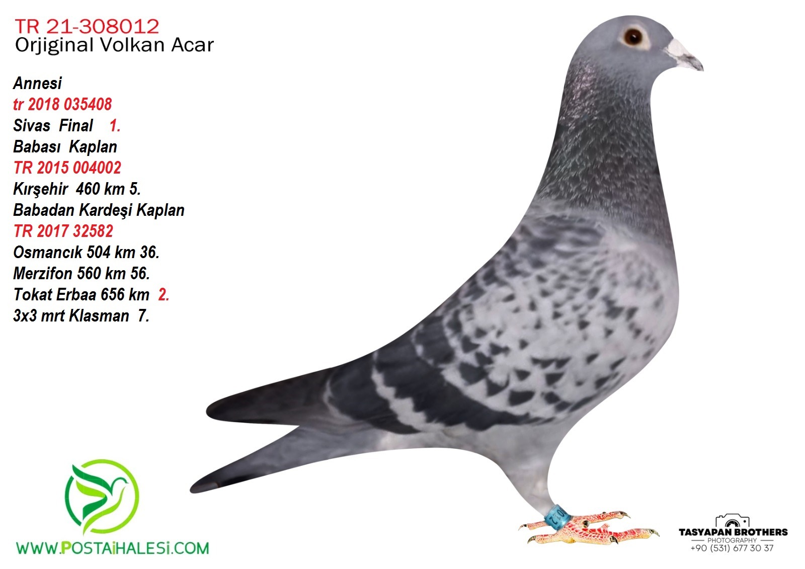 TR-21-030812 ANNESİ SİVAS 1 BABADAN KARDEŞİ 656 KM 2 3X3 MRATON KLS 7