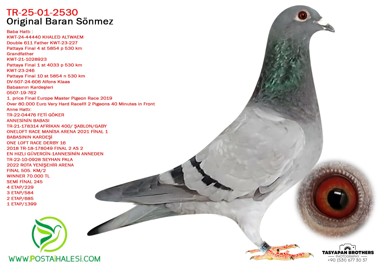 TR-25-01-2530 611&A.U.H KLAAS