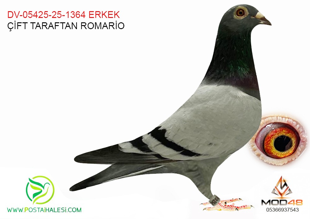 DV-05425-25-1364 ÇİFT TARAFTAN ROMARİO