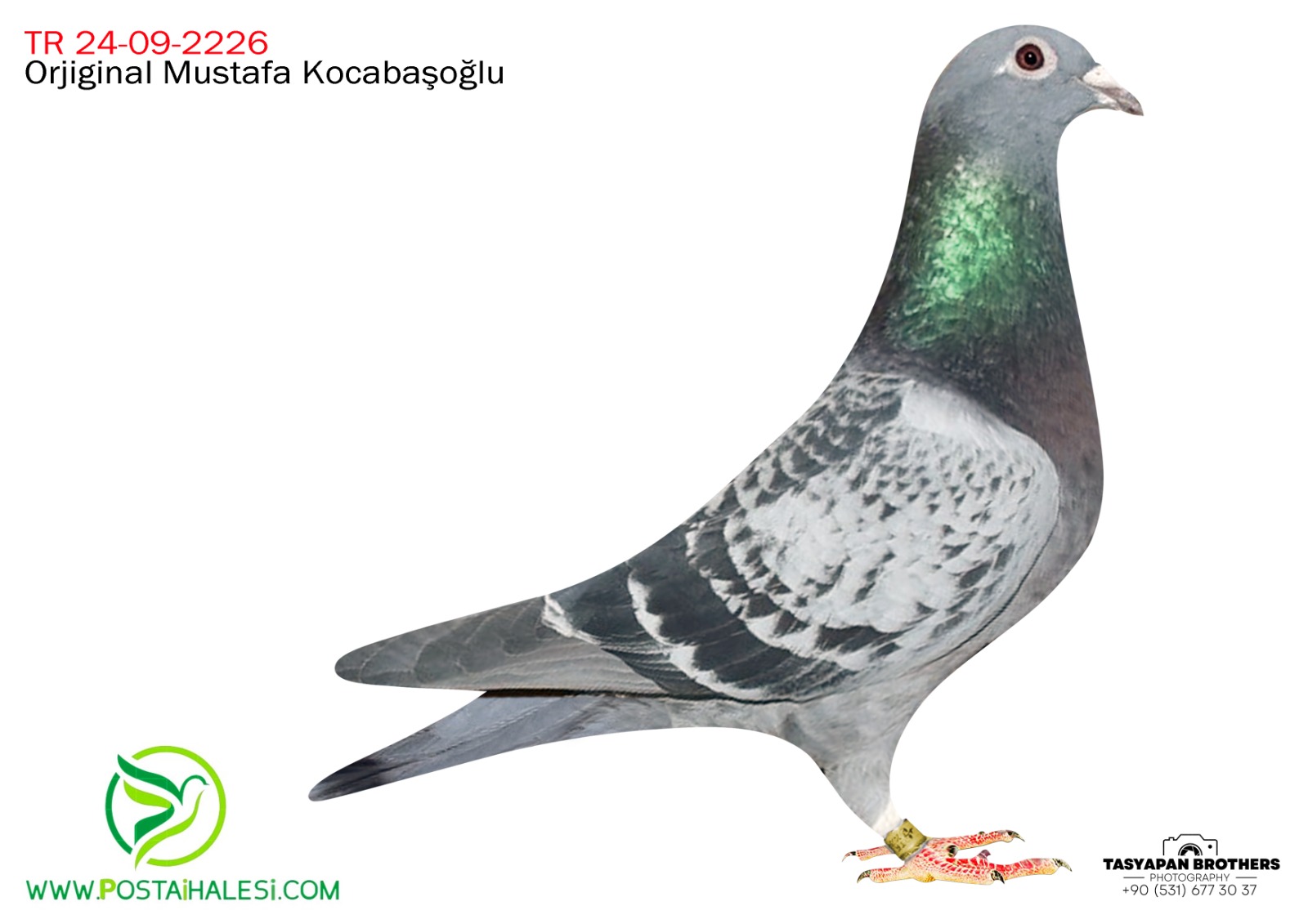 TGF-24-09-2226 KOPMAN&DRAPPA