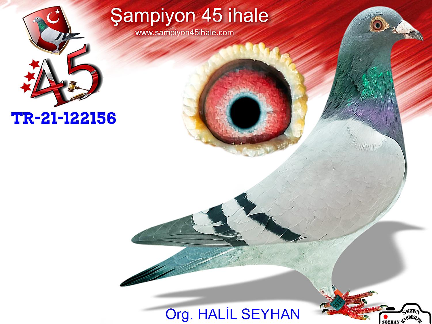TR 21-122156 HİLAL SEYHAN