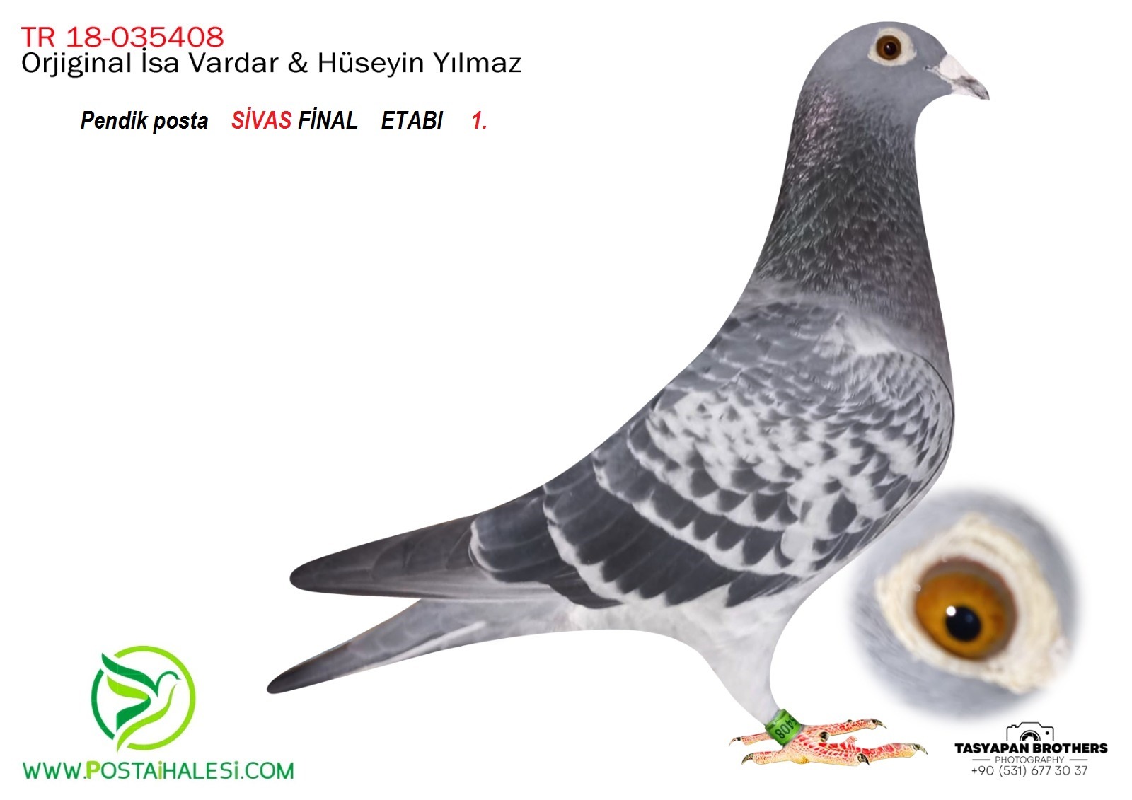 TR-18-035408 KENDİSİ 700 KM SİVAS ŞAMPİYONU