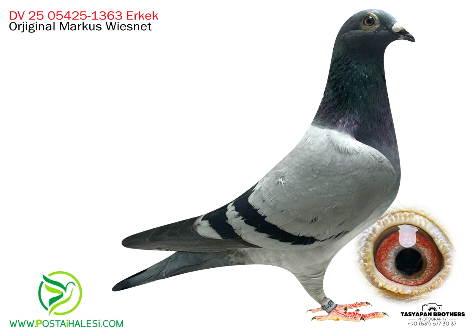 DV-25-05425-1363 ROMARİO&TOMAS 6