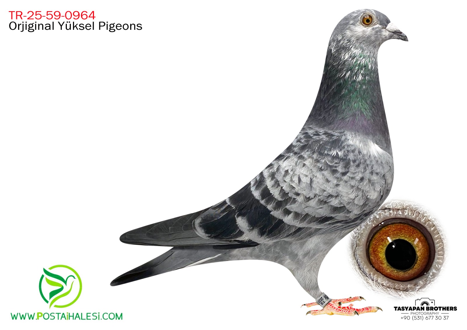 TR-25-59-0964  Barcelona&edip şaban 105&sg steef&romario