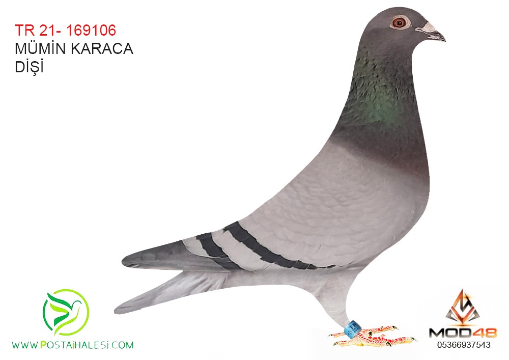 TR-21--169106 MÜMİN KARACA