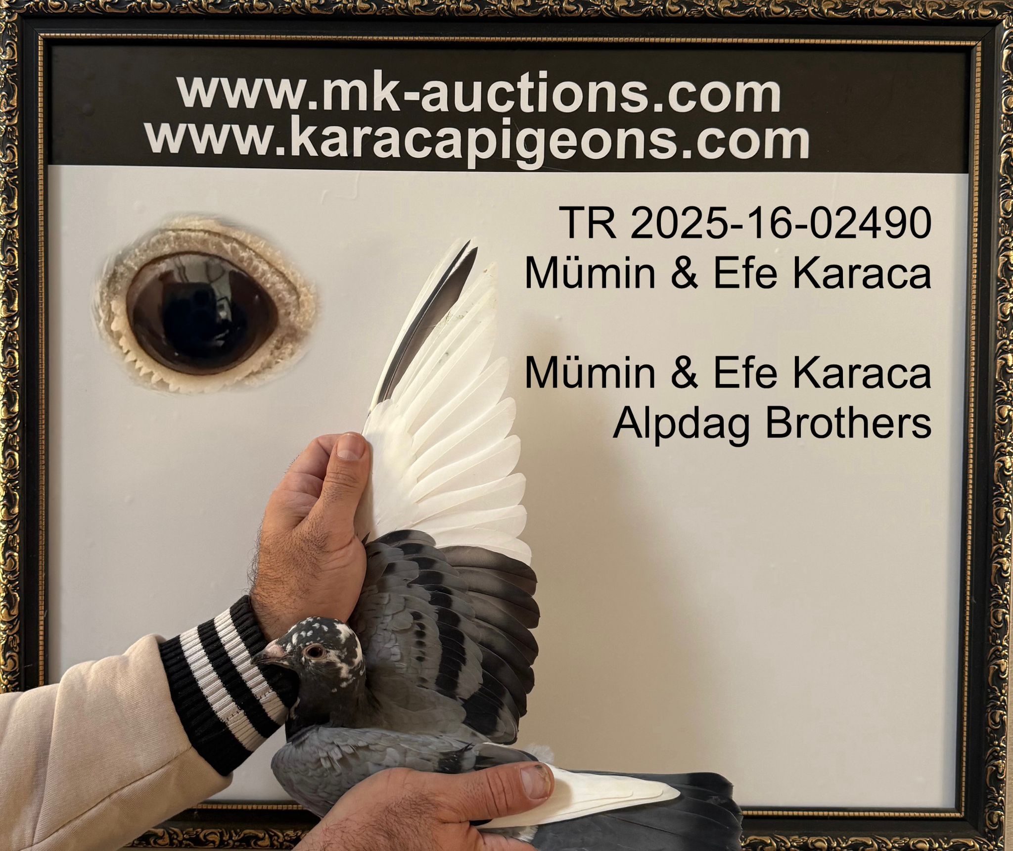 TR-2025-16-02490 ...611 ORNAT SORAİA SÜPER NATURAL THOMAS 6