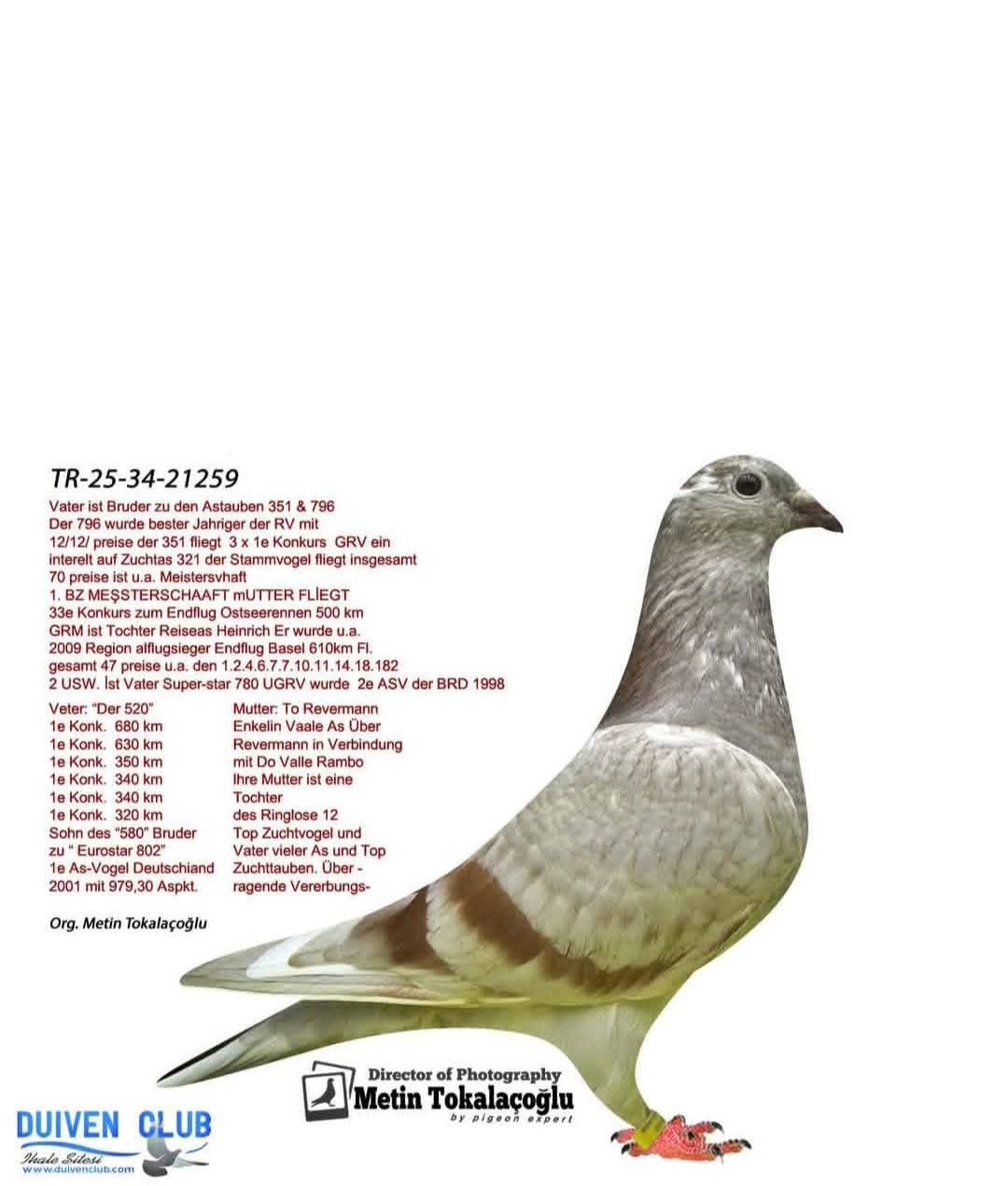 TR 25-34-21259  Günter prang&Tossens