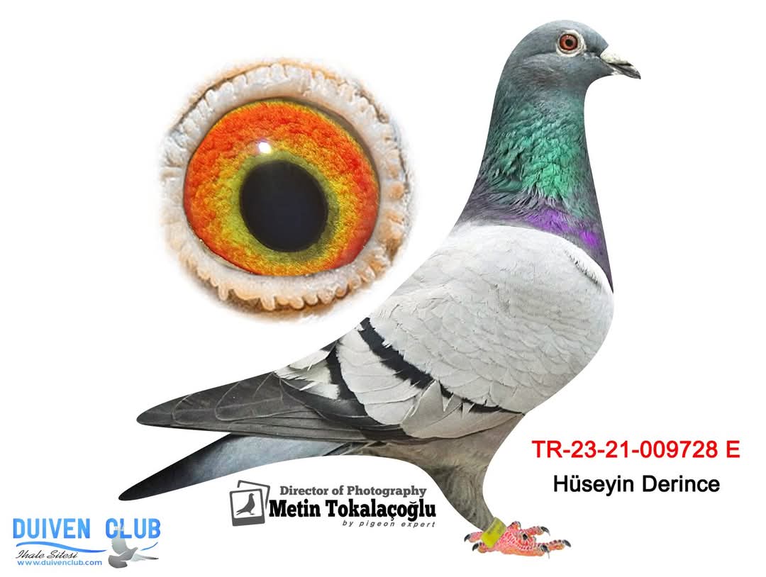 TR-23-21-09728 GABY&KOPMAN&ŞABLON