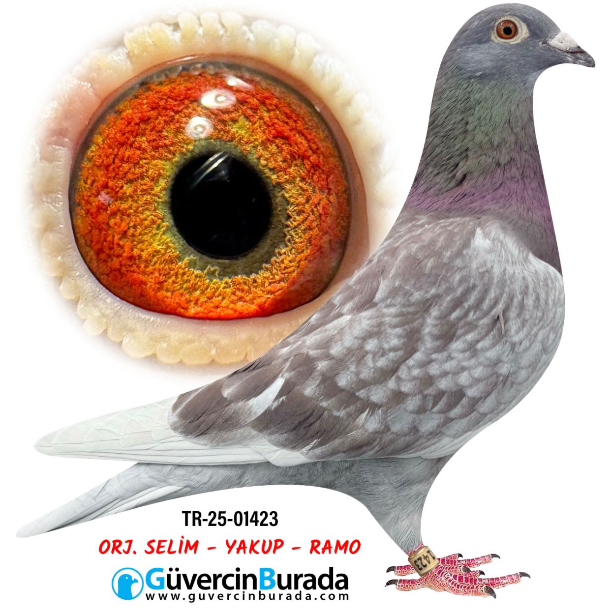 TR 25-01423 ORJ SELİM YAKUP RAMO