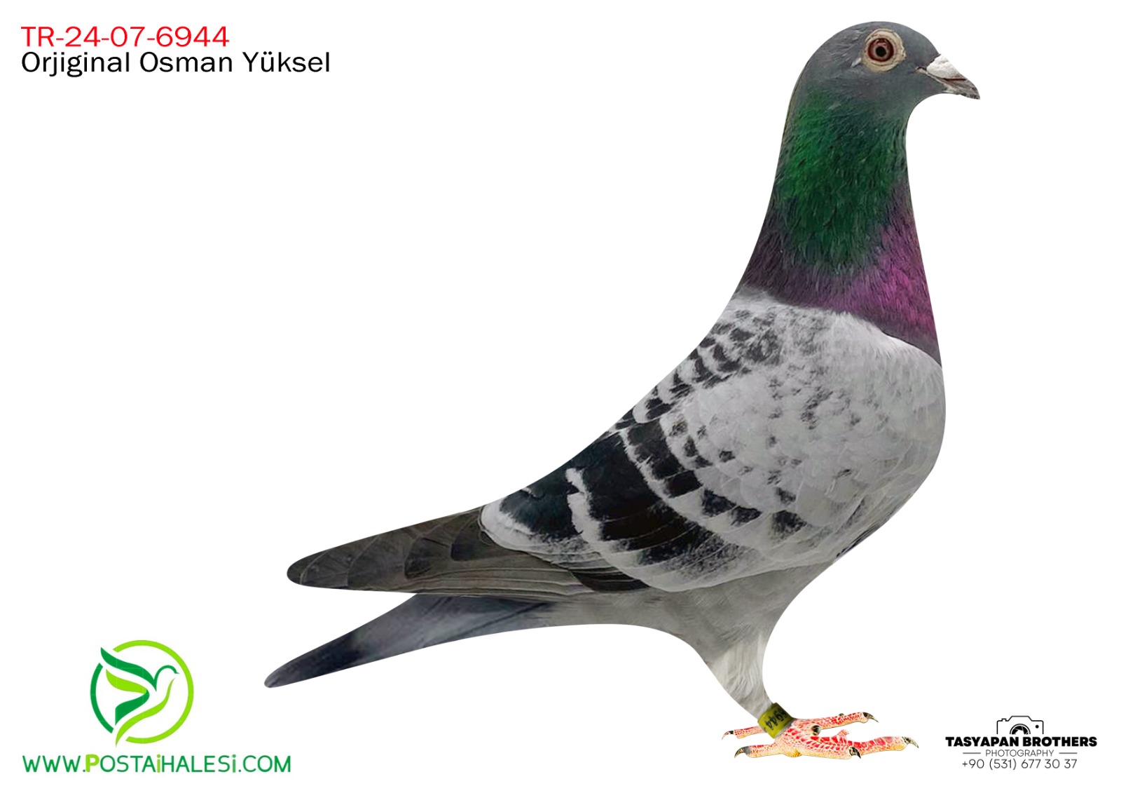 TR-24-07-6944 MENNE&JOEL VERSCHOOT