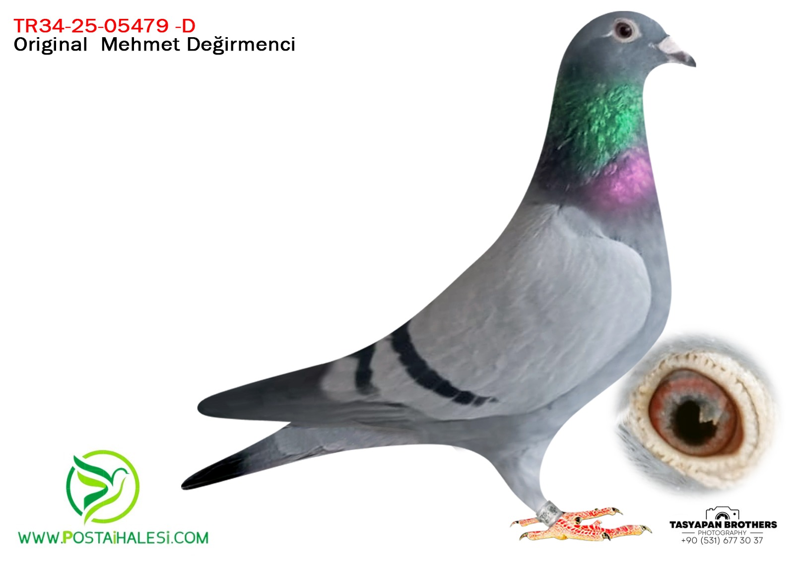 TR-34-25-05479 A.U.H KLAAS& ARİE DİJKSTRA