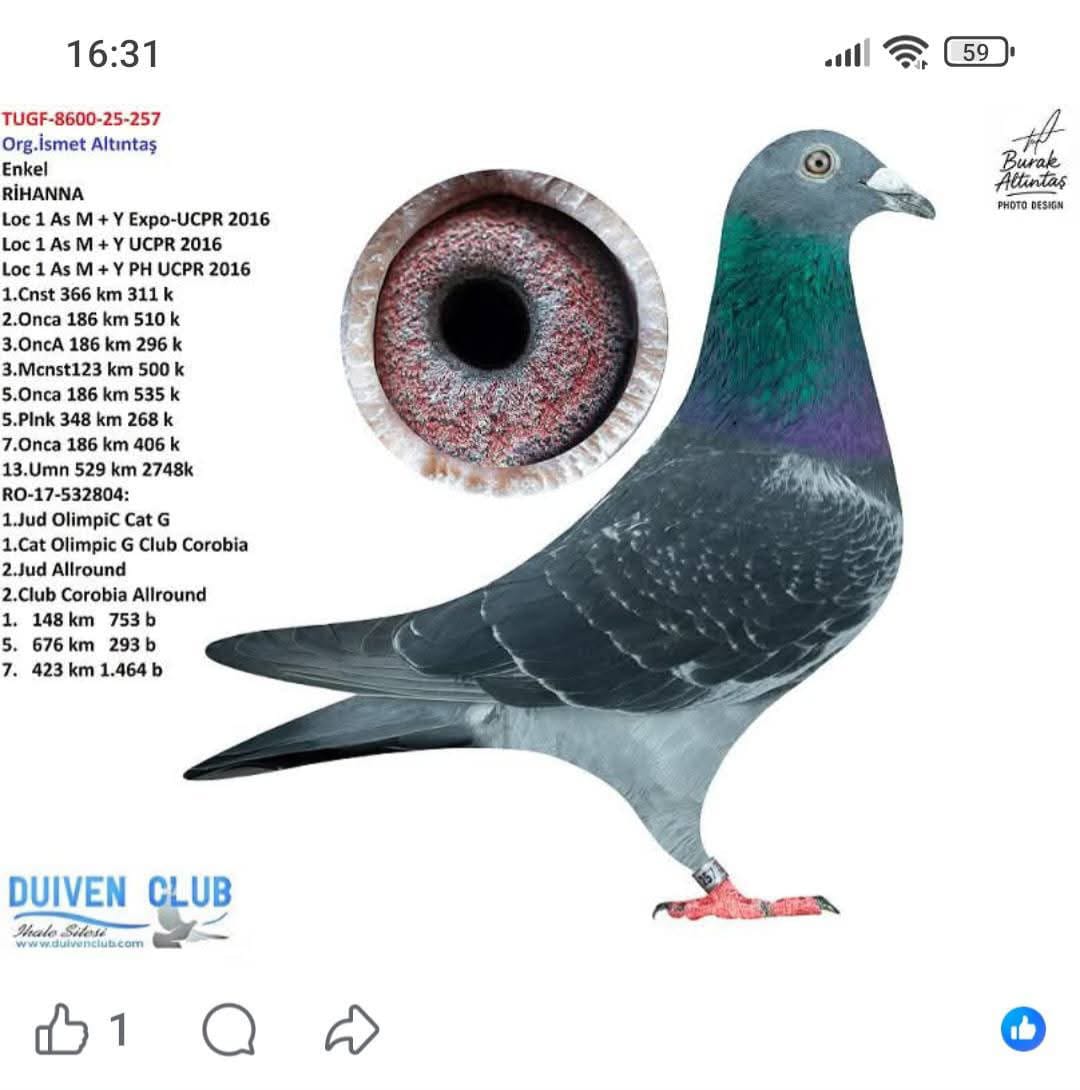 TUGF 8600-25-257 orjinal ismet altıntaş RİHANNA