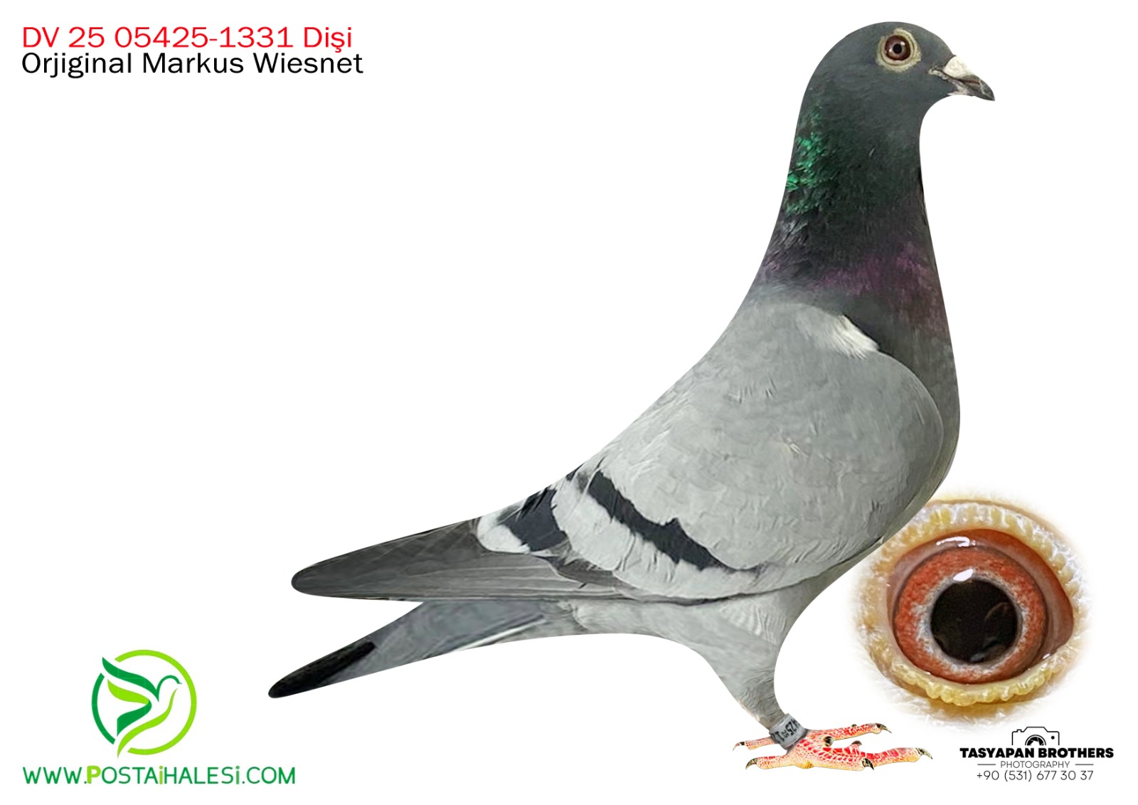 DV-25-05425-1331 İNBİREND ROMARİO