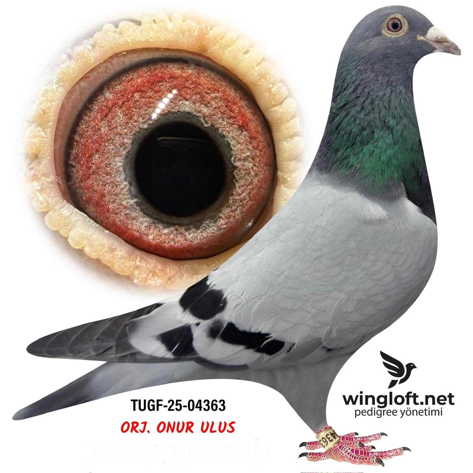 TR-25-Z-04363 OGÜN KÖSE