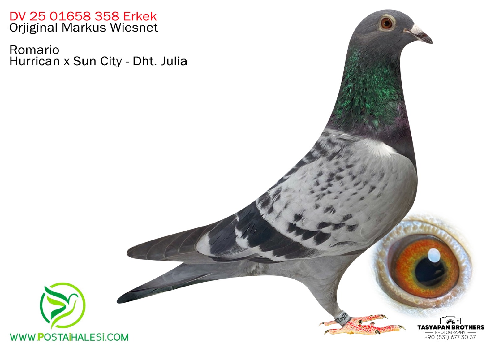 DV 1658-25-0358 ROMARİO-JULİA-SUN  CİTYY
