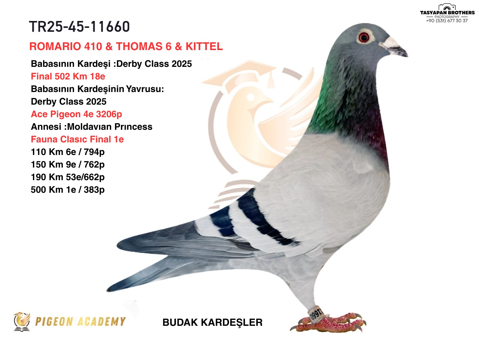TR-25-45-11660 ROMARİO 410 THOMOS 6 KİTTEL