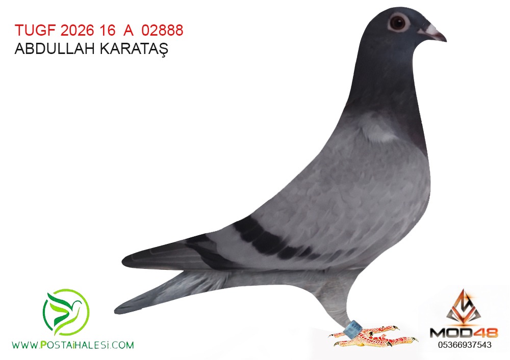 TUGF-26-16-02888 ABDULLAH KARATAŞ