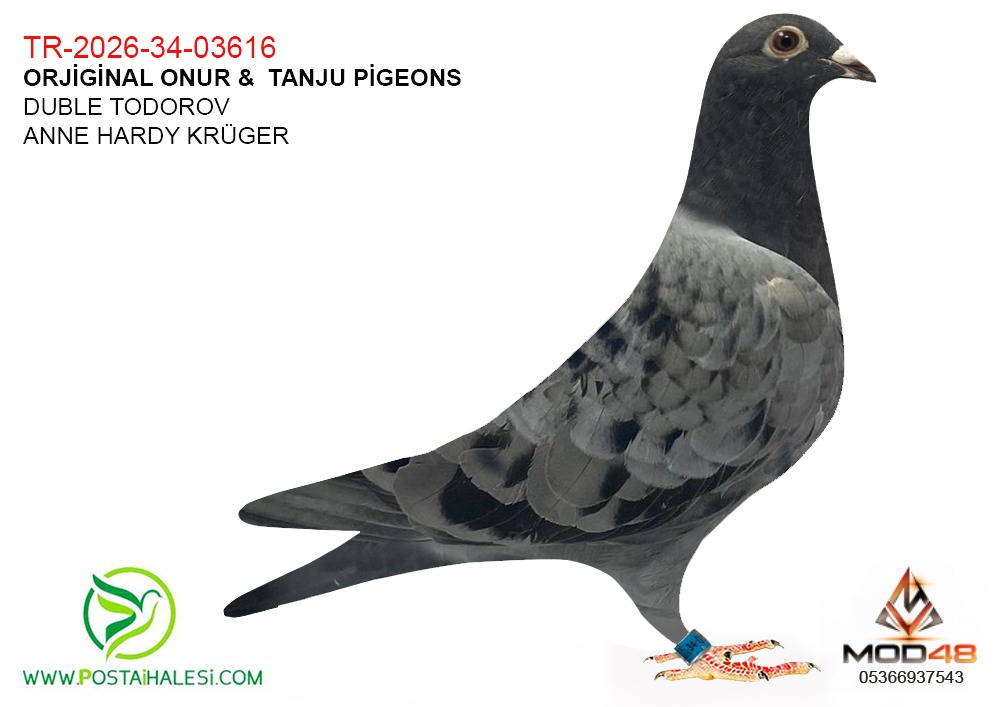 TR-2026-34-03616--DULE TADROW DUBLE HARDY KRGURE JOKER BLACK SUN