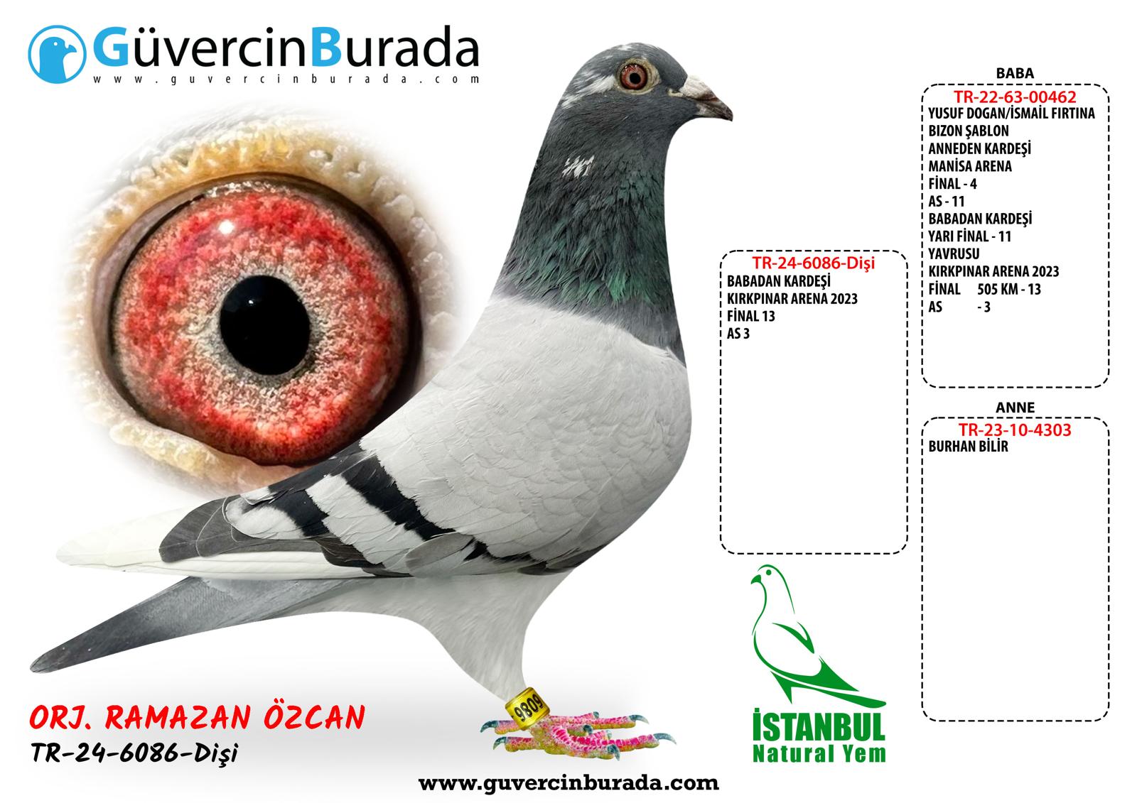 TR-24-6086 MESSİ 050