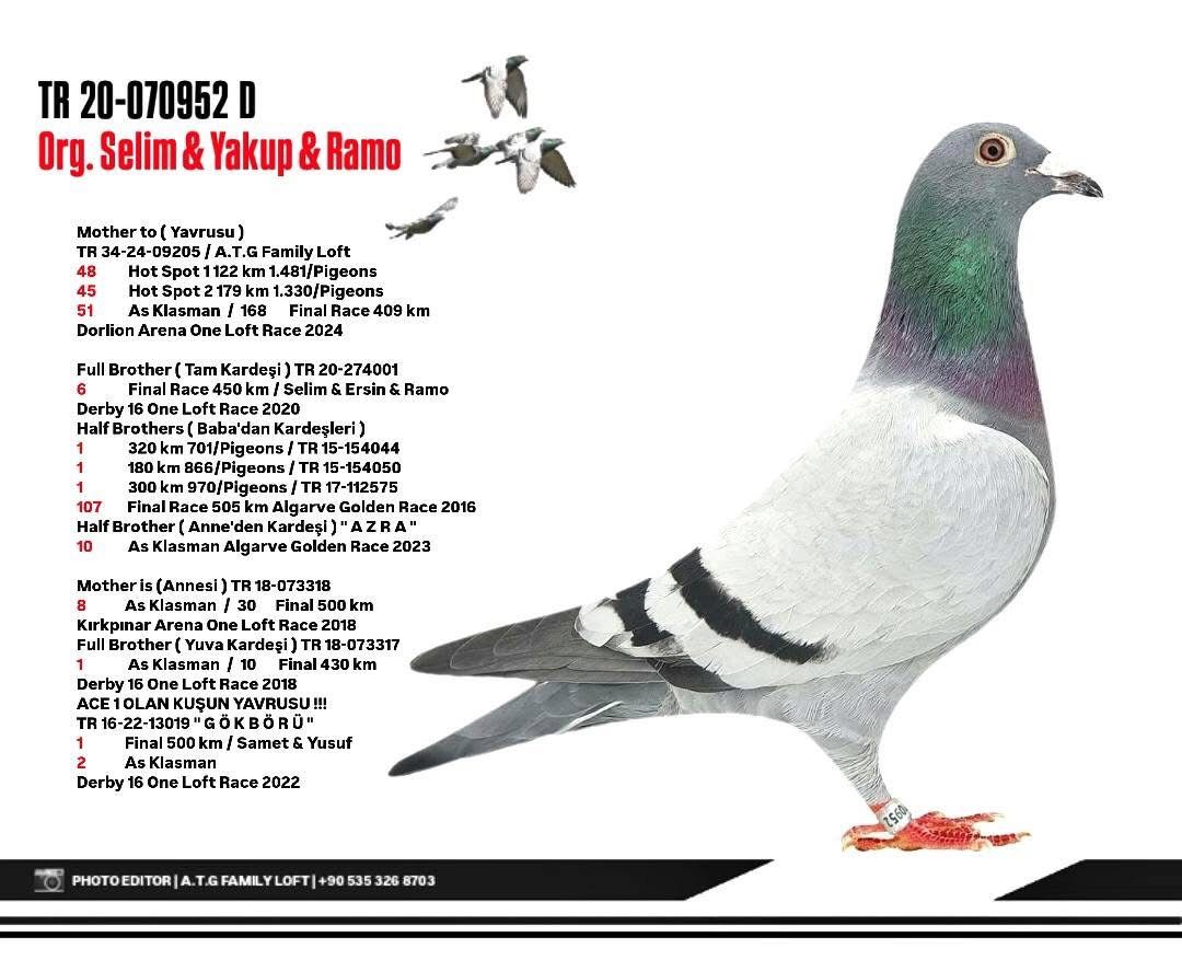 TGF 20-070952 ORJ SELİM ERSİN RAMO