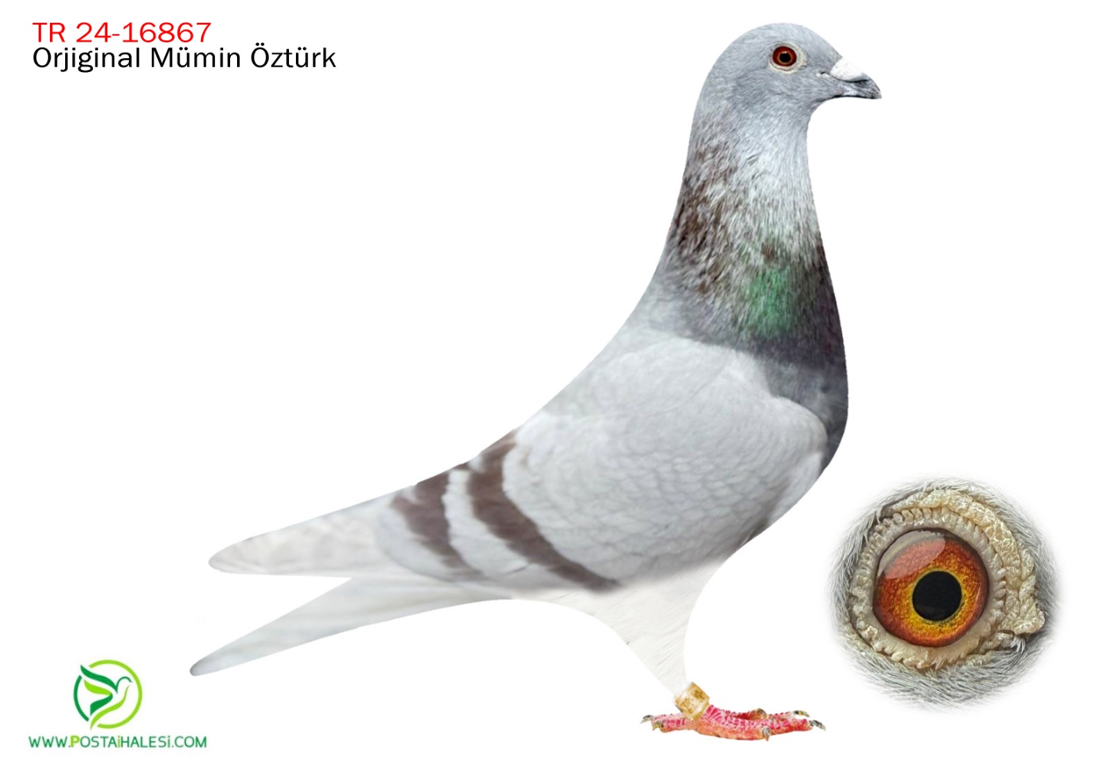 TR-35-24-16867 JANSEN