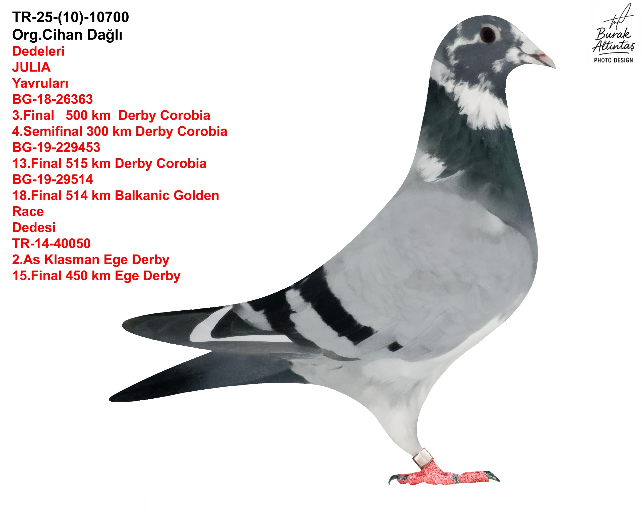TR-2025-10-10700 JULİA&050&STEFF &155
