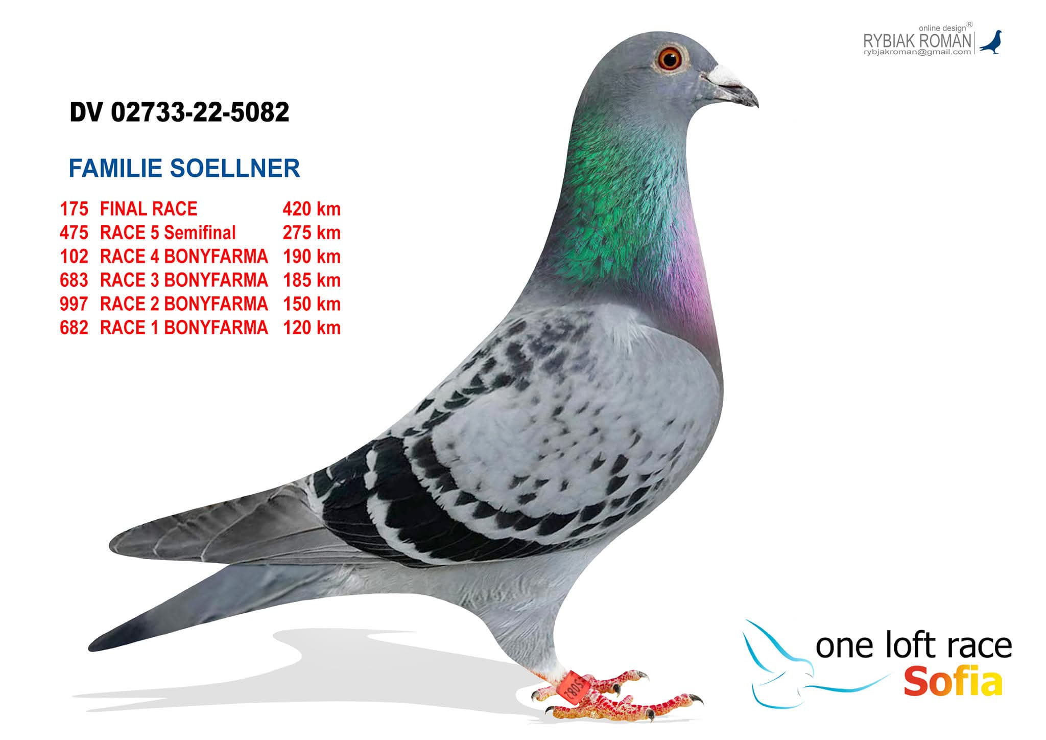 DV-02733-22-5082- DUBLE MESSİ TORUNU   SOFİA FİNAL 420 KM 175 CİSİ