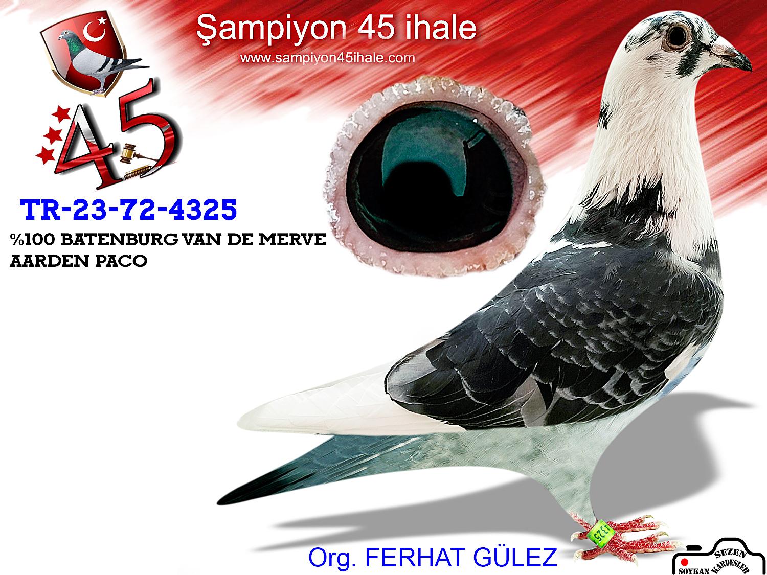 TR-23-72-4325 %100 BATENBURG MERVE ARDEN PACO