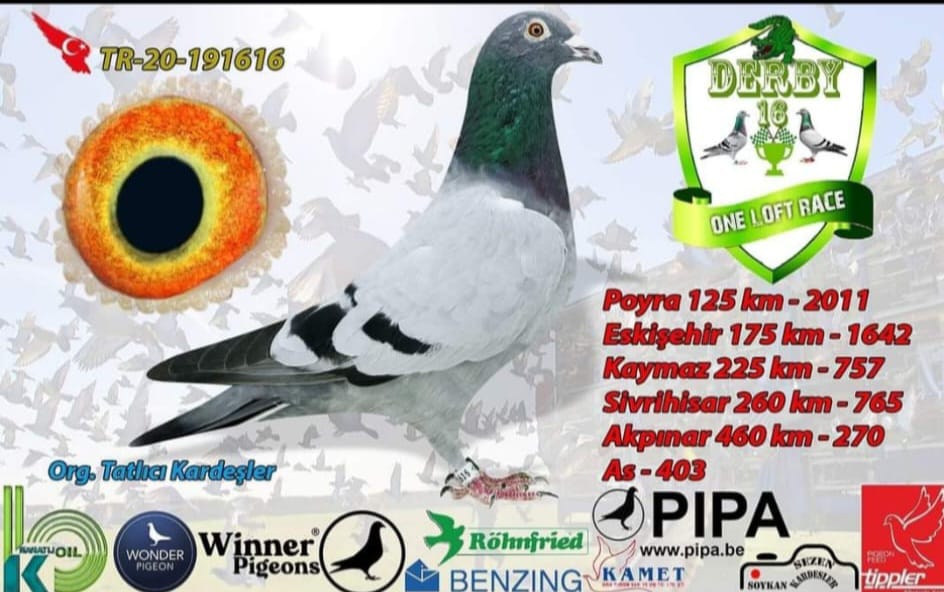 TR 20-191616- 155 POLİS İMDAT KIZI 460 KM 270