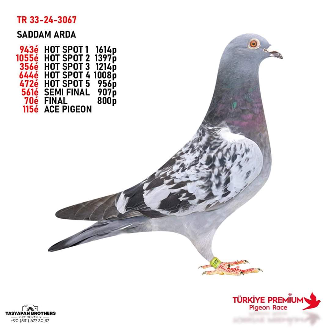 TR-33-24-3067--FİNAL 70