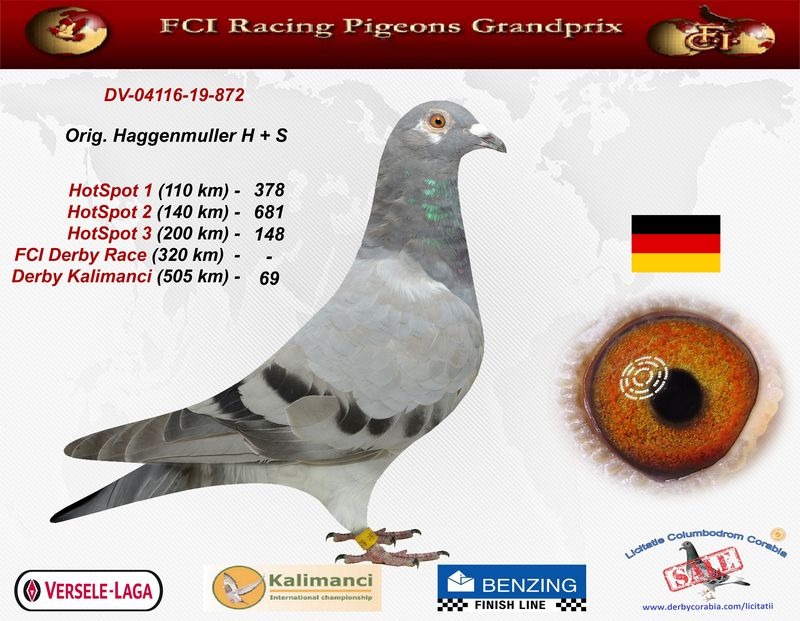 DV-4116-19-0872 Aelbrecht&De Rauw sablon