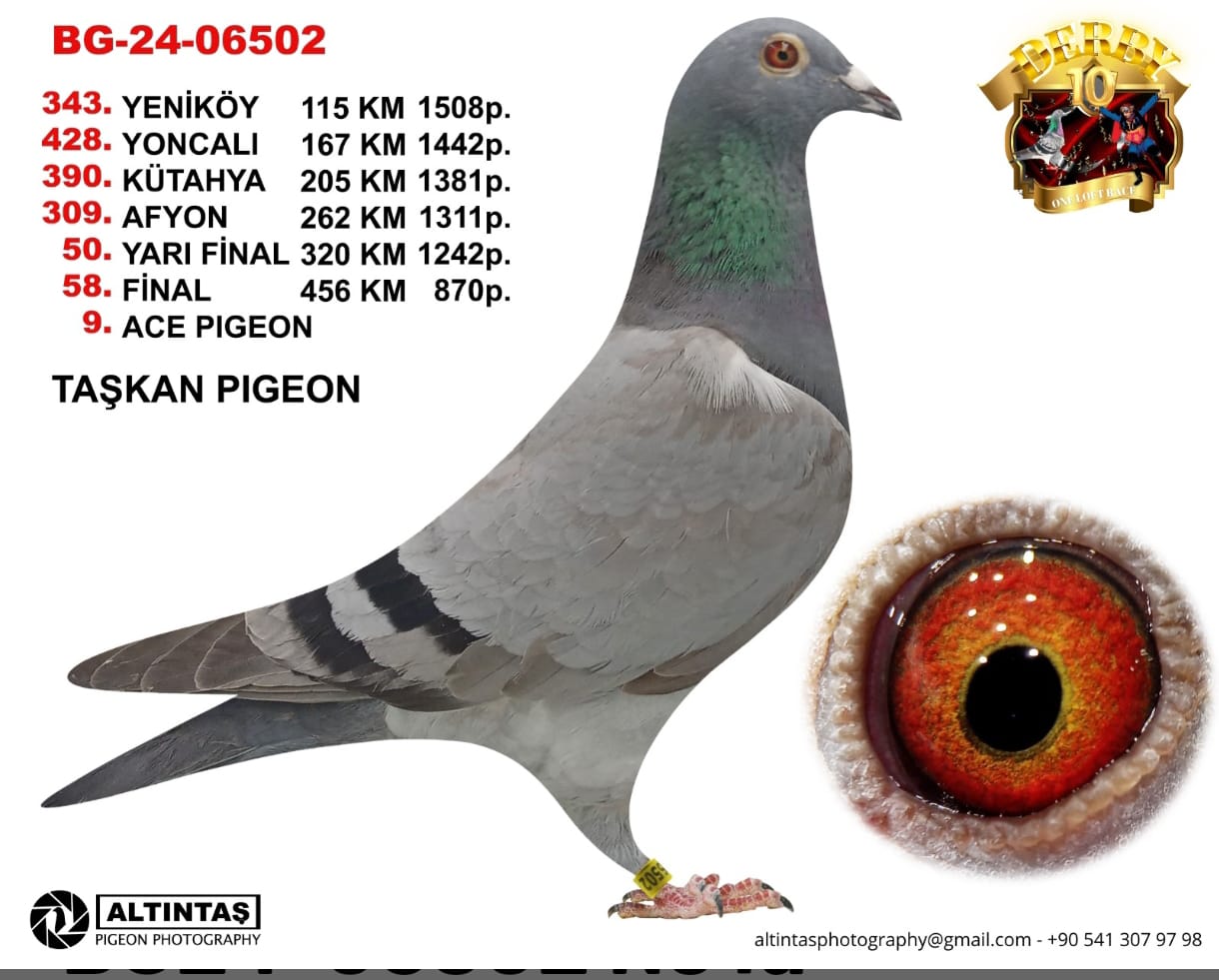 BG 24-6502 TAŞKAN TENEKE FİNAL 58 ACE 9