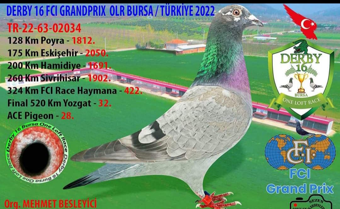 TR 22-63-02034 FİNAL 520 KM 32 ACE 28