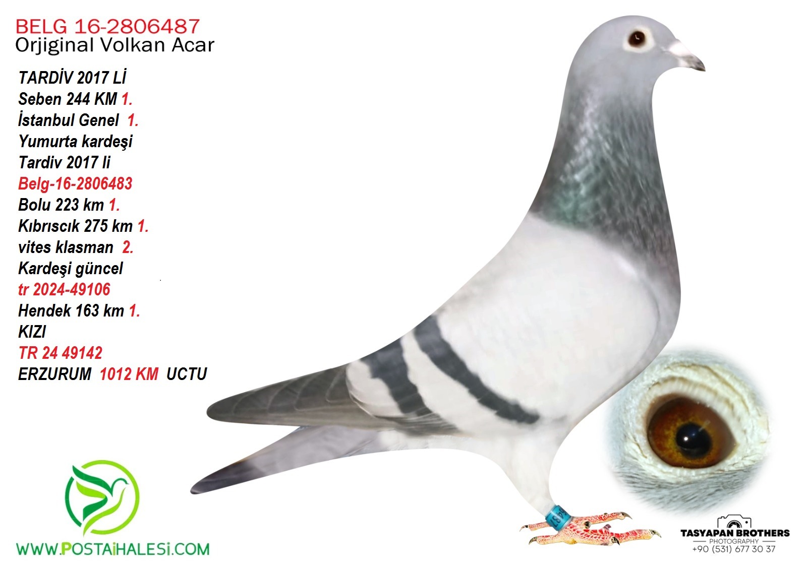 BLG-16-2806487 İSTANBUL GENEL 1