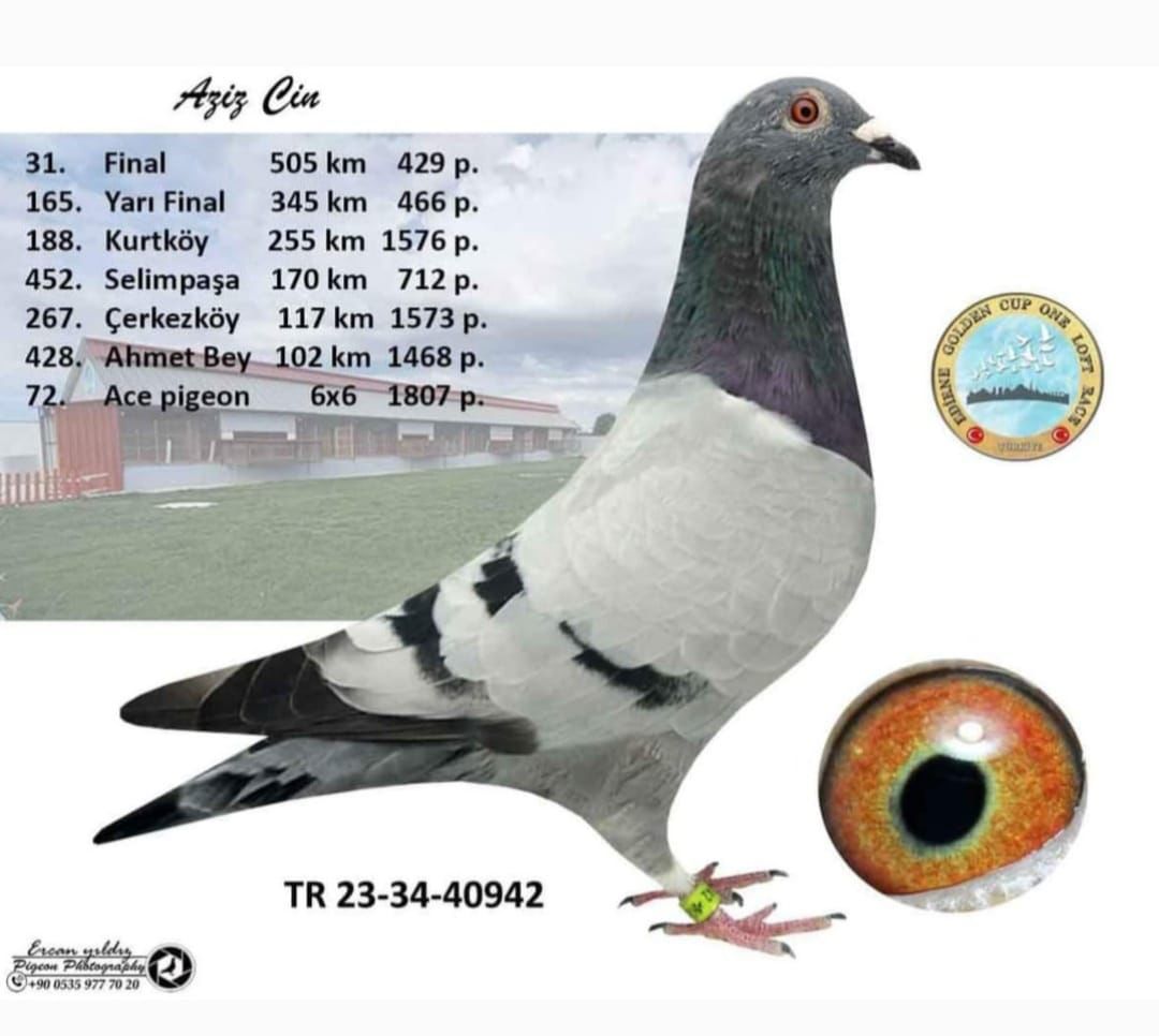 TR-23-34-40942 KES BASUA&HERY JONTESH  