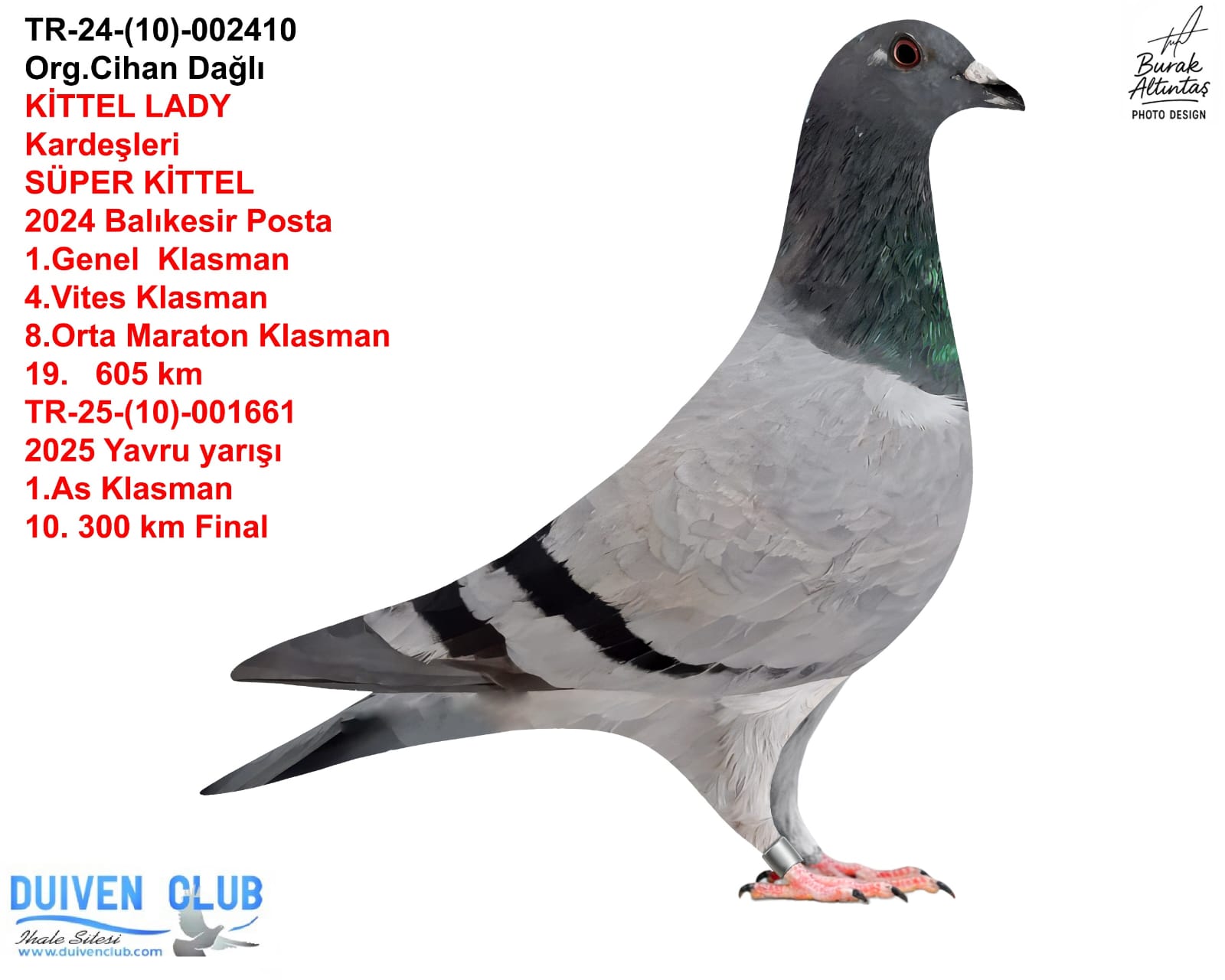 TR-10-24-2410 SG STEFF GOMEZ JUNİOR  KİTTEL